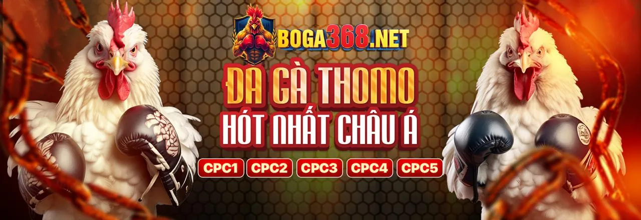 Đá gà trực tuyến 9ki với các trận đấu kịch tính